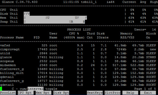 HP-UX在线性能监控工具GlancePlus介绍（一） - 王大头 - 王大头