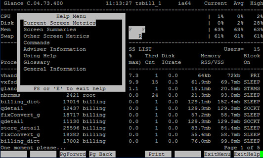 HP-UX在线性能监控工具GlancePlus介绍（一） - 王大头 - 王大头