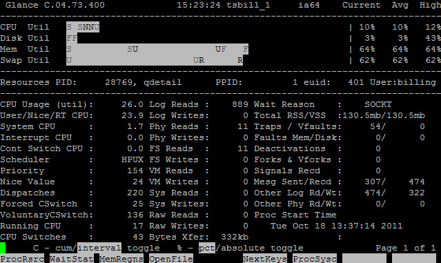 HP-UX在线性能监控工具GlancePlus介绍（二） - 王大头 - 王大头