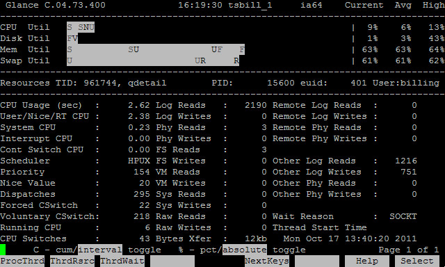 HP-UX在线性能监控工具GlancePlus介绍（二） - 王大头 - 王大头